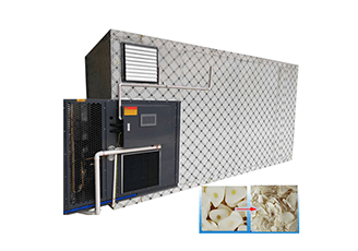 Garlic dryer machine